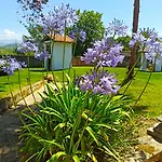 La Venta De Miyares - Casa De Indianos * Piloña