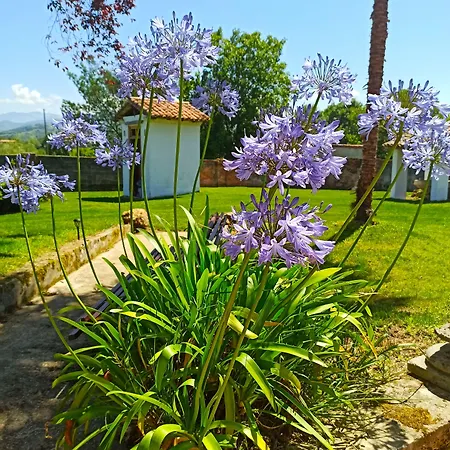 La Venta De Miyares * Piloña