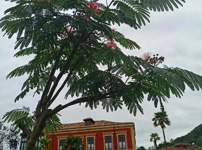 La Venta De Miyares - Casa De Indianos * Pilona